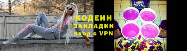 сатива Новокубанск