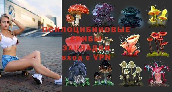 мескалин Арсеньев